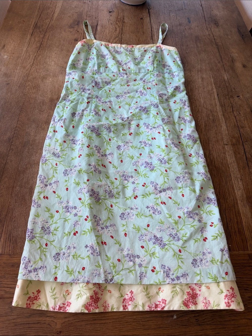 Vintage Mica Blue Red Purple Floral Cottagecore Cotton Dress Size 10